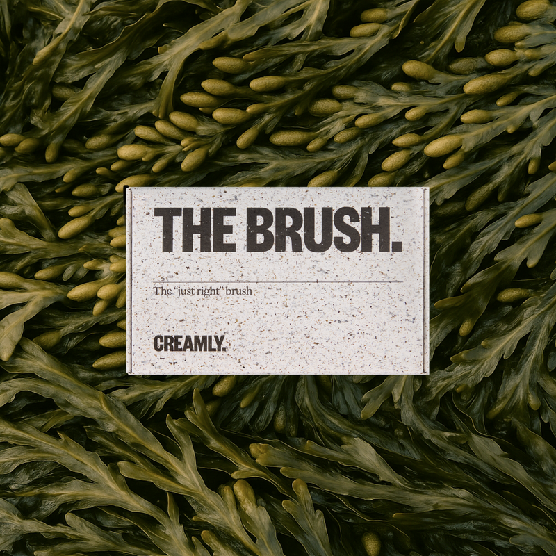 The Brush.